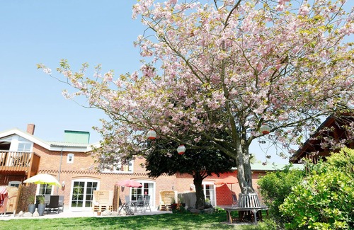 Lemkendorf Apartment | Apartment/app. for 3 guests with 47m² in Fehmarn (95390)