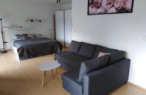 Podebrady Apartment | Apartment Archa Poděbrady