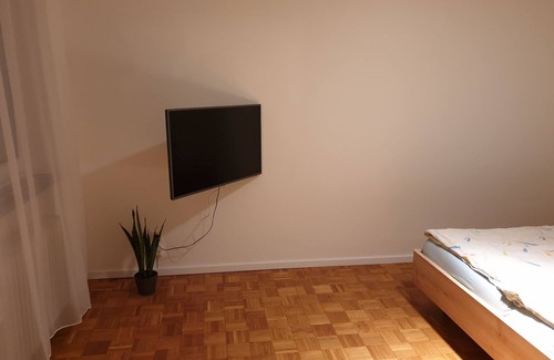 Reichenbach Apartment | Apartment at the spa park