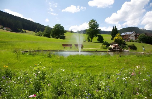 Tonbach House | Apartment 'B 22' with Mountain View, Private Terrace and Wi-Fi