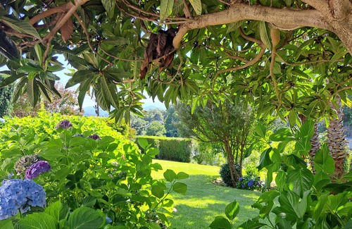 Sao Pedro do Sul Villa | Apartment 'Casa Pinho' with Mountain View, Private Terrace and Wi-Fi