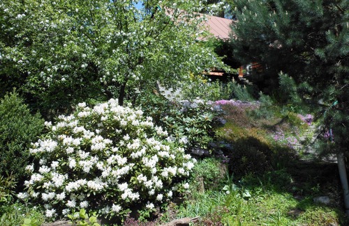 Suchy Dul Apartment | Apartment close to the forest.Ideal for hiking.