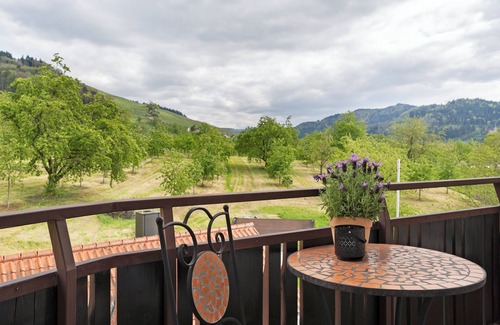 Kappelrodeck Apartment | Apartment 'Dasensteinblick' with Mountain View, Balcony and Wi-Fi