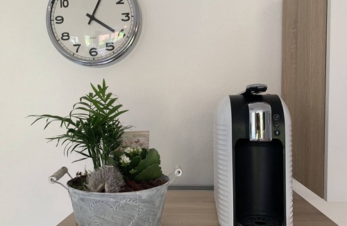 Toster Apartment | Apartment Dragon's Nest in the beautiful Vorarlberg