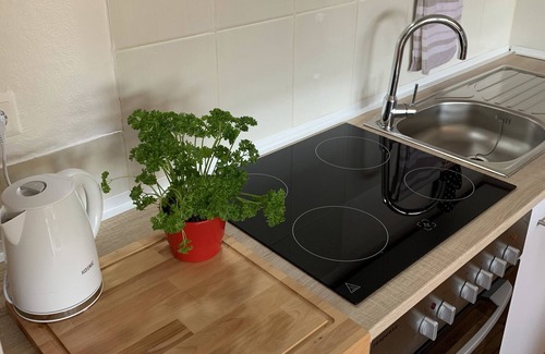 Toster Apartment | Apartment Dragon's Nest in the beautiful Vorarlberg