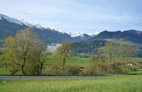 Latterbach Apartment | Apartment Ferienhaus Niesen View by Interhome