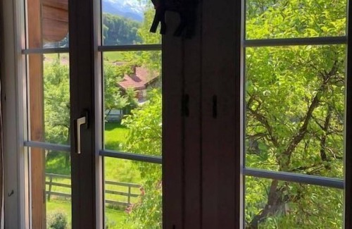 Wilderswil Apartment | Apartment Ferienwohnung Otter in Wilderswil - 4 persons, 2 bedrooms