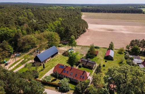 Muritz Apartment | Apartment FeWo Am Wald