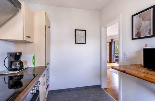 Usseln Apartment | Apartment 'Fewo Zentral' with Private Terrace