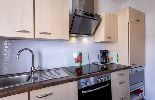 Usseln Apartment | Apartment 'Fewo Zentral' with Private Terrace