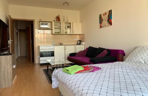 Olomouc Apartment | Apartment Fiala