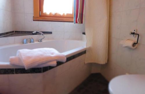 Siegsdorf Apartment | Apartment-Foelslhof