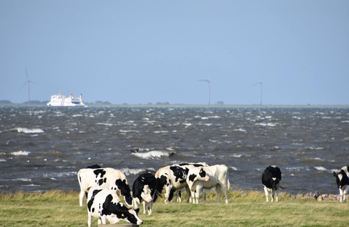 Langeneß Apartment | Apartment 'Friesenblau' with Sea View, Shared Terrace and Wi-Fi