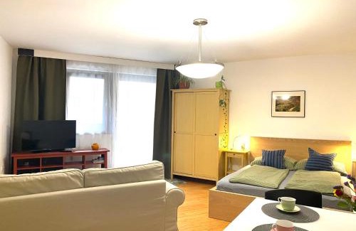Graz City Centre Apartment | Apartment Grazbachgasse - gratis Tiefgaragenplatz