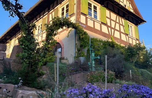 Offenburg Apartment | Apartment 'Groß' with Shared Garden and Wi-Fi