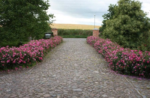 Papendorf Apartment | Apartment III - Apartments in farmhouse - Property 44365