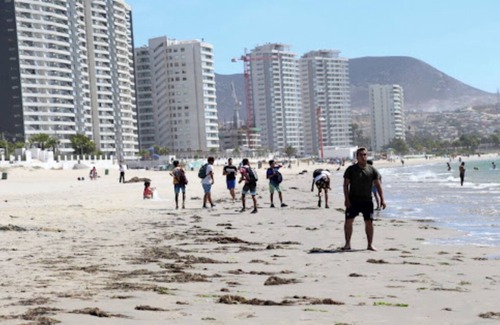 Coquimbo Apartment | Apartment in Coquimbo