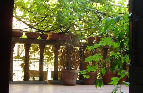 Dorsoduro Apartment | Apartment in Dorsoduro (with terrace) CIN: IT027042C2985BDBQQ