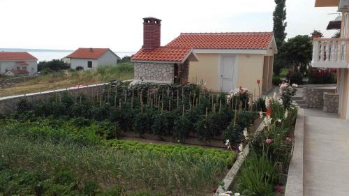 Rtina Apartment | Apartment in Rtina - Zadar Riviera 8162