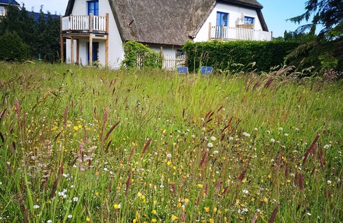Lancken-Granitz Apartment | Apartment in the beautiful biosphere reserve on Rügen