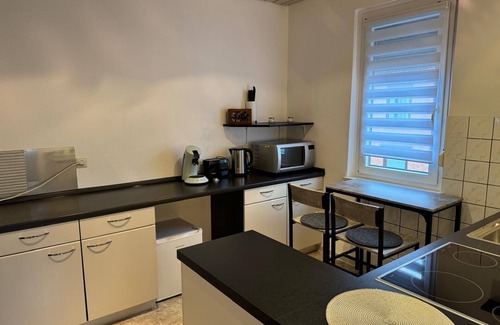 Goeppingen Apartment | Apartment in the center with garden, connection to Stuttgart, Märklineum and EWS Arena.