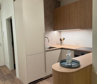 Neuchatel Apartment | Apartment in the center of Neuchâtel Sunset