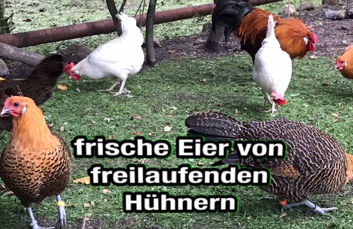 Kirchtimke Apartment | Apartment in the country between Bremen and Hamburg