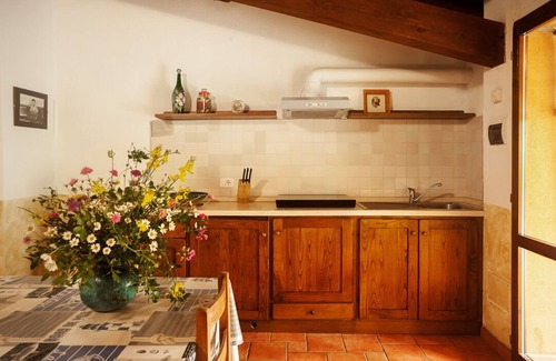 Gavorrano Other | apartment in Tuscany Maremma between Siena and Grosseto