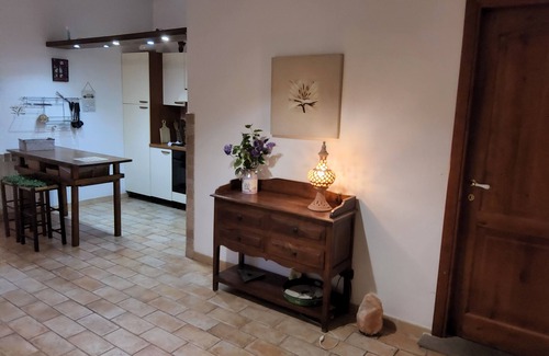 Cerveteri Villa | Apartment in villa, large garden, swimming pool, spa, near the sea Rome