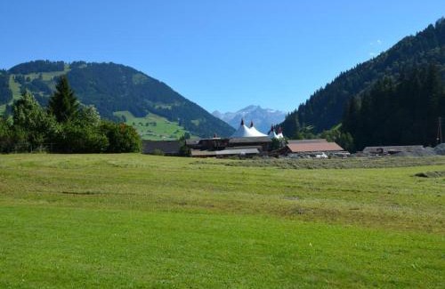 Zweisimmen Nr Gstaad Apartment | Apartment Jacqueline 24 by Interhome
