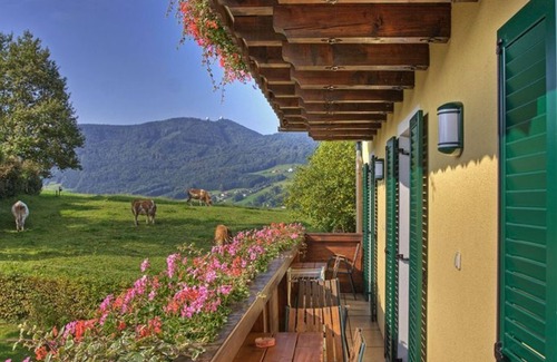 Tiefgraben Apartment | Apartment Lake View 2. Stock - Pension Winter Am Irrsee 4 Edelweiss