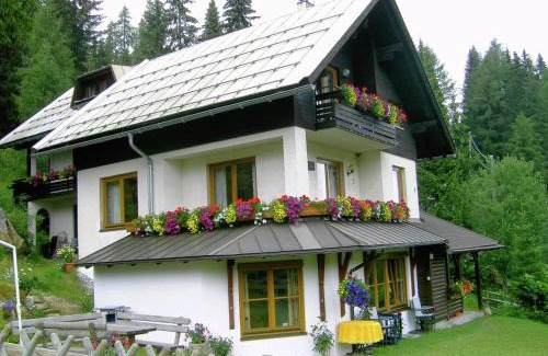 Sonnenalpe Nassfeld Apartment | Apartment Nassfeld near Ski Slopes