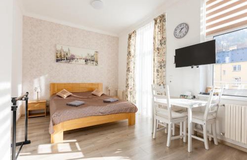 Karlovy Vary Apartment | Apartment on Krymska