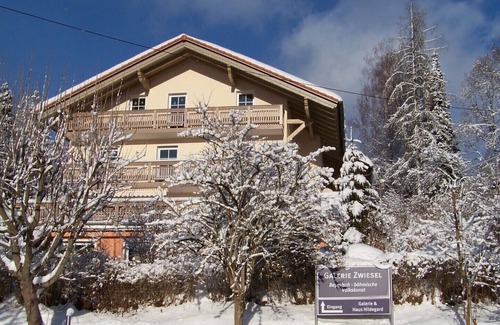 Zwiesel Apartment | Apartment on the first floor with walk-in shower and WiFi