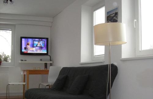 Vrchlabi Apartment | Apartment Red Tree