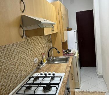 Odzaci Apartment | Apartment S