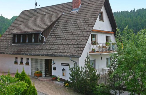Eisenbach Apartment | Apartment Scherzinger in Eisenbach - 2 persons, 1 bedrooms
