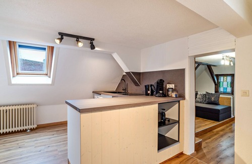 Buhl Apartment | Apartment 'Schwarzwaldtani - Städtle' with Wi-Fi and Air Conditioning