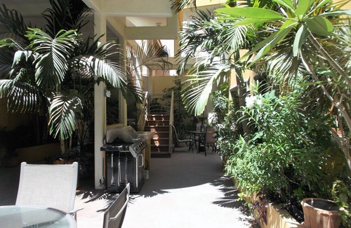 Downtown San Jose del Cabo Apartment | APARTMENT TWO AT CASA DE SUENOS