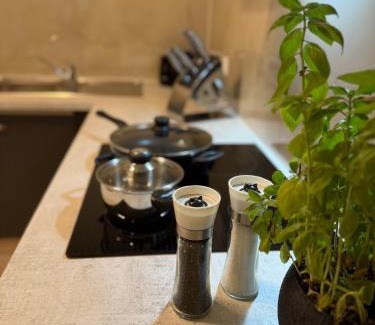 Rhein-Erft-Kreis District Apartment | Apartment WH7