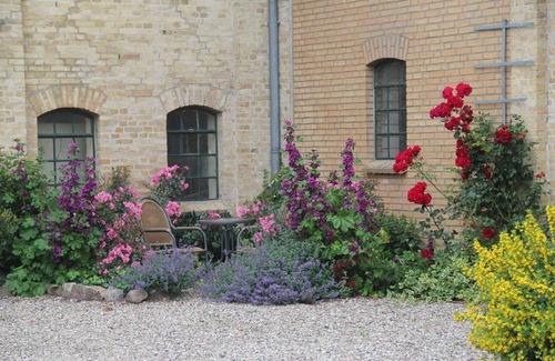 Stenderup Apartment | Apartment with garden view - Ferienhof Börsby - Apartment with garden view