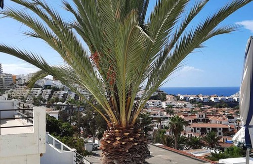 Los Gigantes Apartment | Apartment with stunning views of the Atlantic and the giants