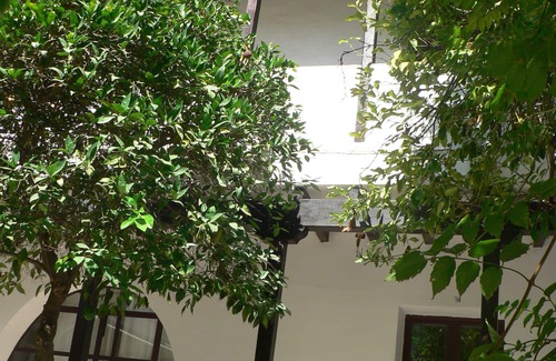 Santa Marina Apartment | APARTMENT WITH TERRACE-SOLARIUM AND OWN PATIO, PATIO DEL LIMONERO