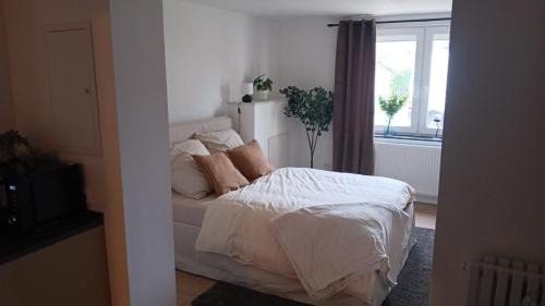 Bad Pyrmont Apartment | Apartment - Wohnung Bad Pyrmont