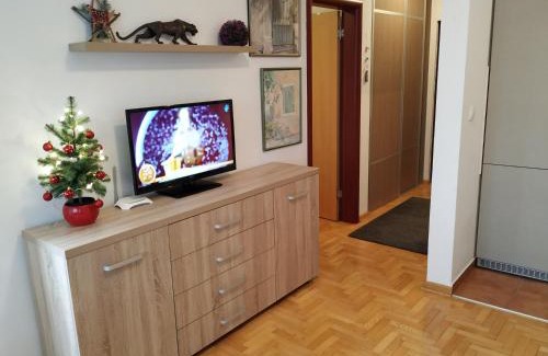 Novi Sad Apartment | Apartment Xenia
