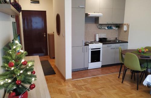 Novi Sad Apartment | Apartment Xenia