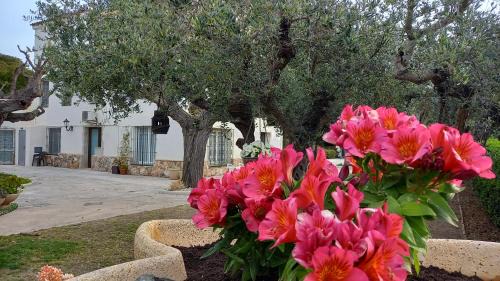 Altafulla House | Apartments in Villa Isabel