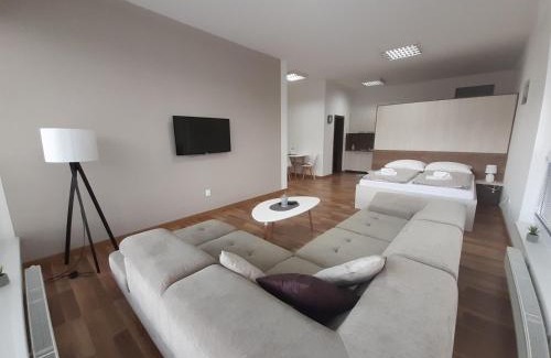 Liptovsky Mikulas Apartment | Apartments MODOM