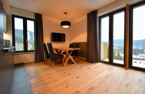 Spindleruv Mlyn Apartment | Apartments with mountain views