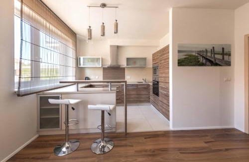 Pilsen Apartment | Apartsee U Ježíška